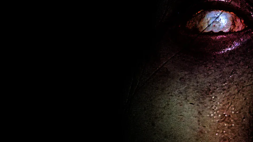 Glowing eye emerging from pitch darkness